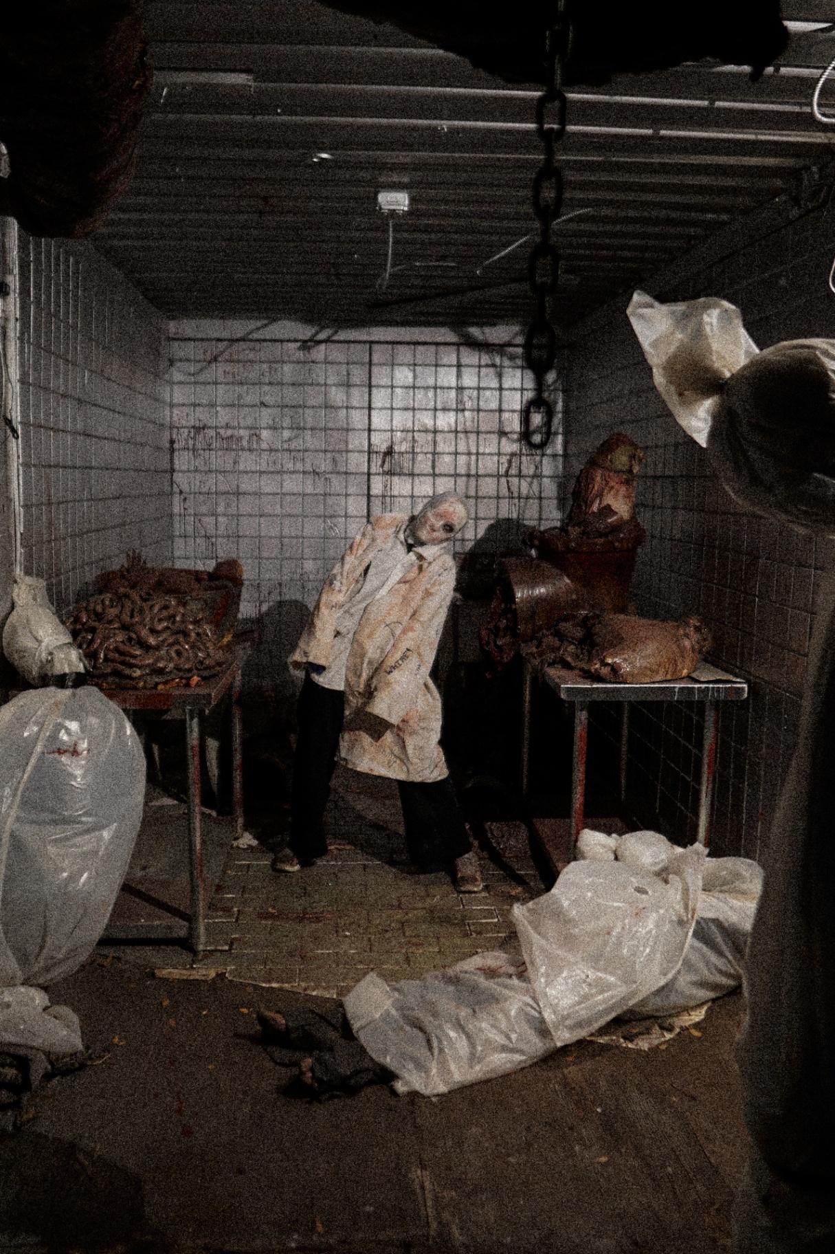 Butcher room with Exillium and hanging remains